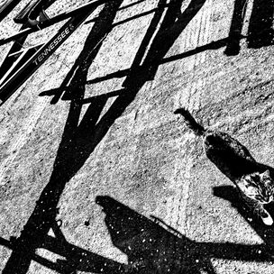 'Catte' by Zack Schuster