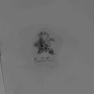 'Grand Forks Squirtle Fight The Power' by Zack Schuster