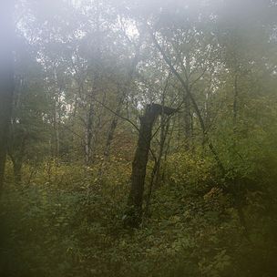 'Stick In The Mud' by Zack Schuster